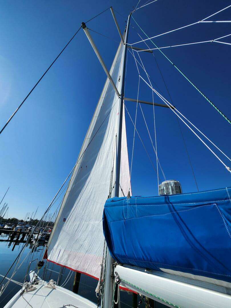 2020 Jeanneau Sun Odyssey 410 - Image 14