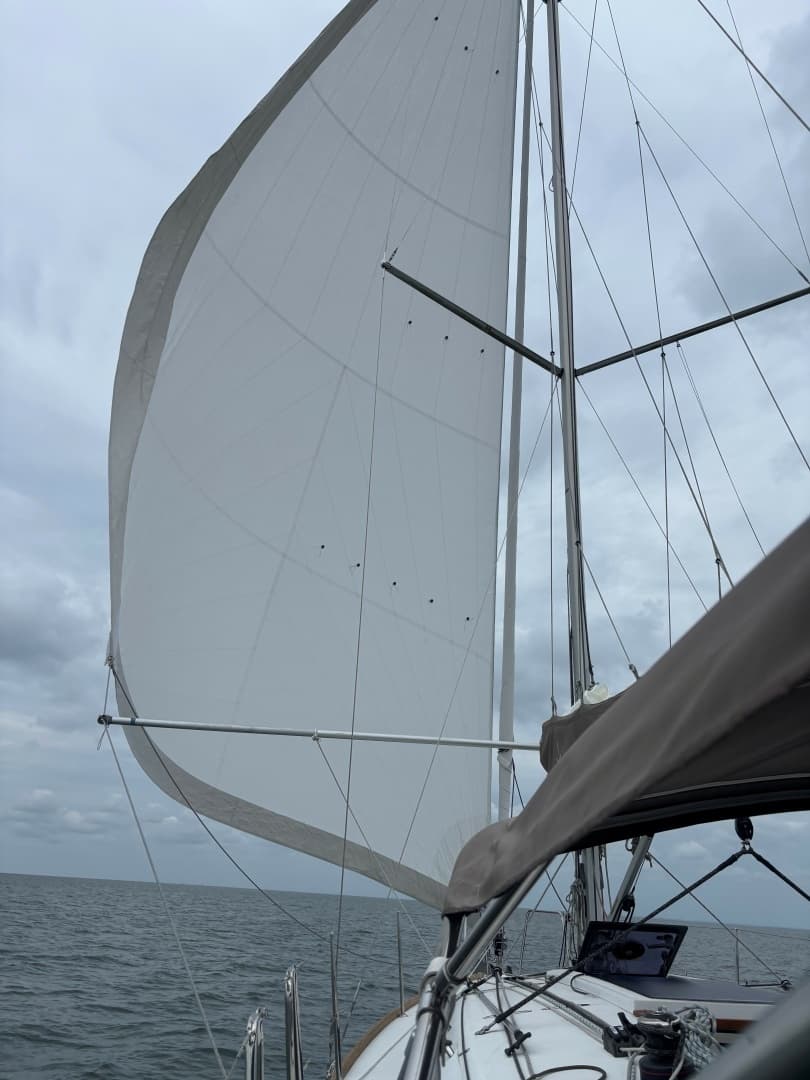 2015 Jeanneau 349 - Image 56