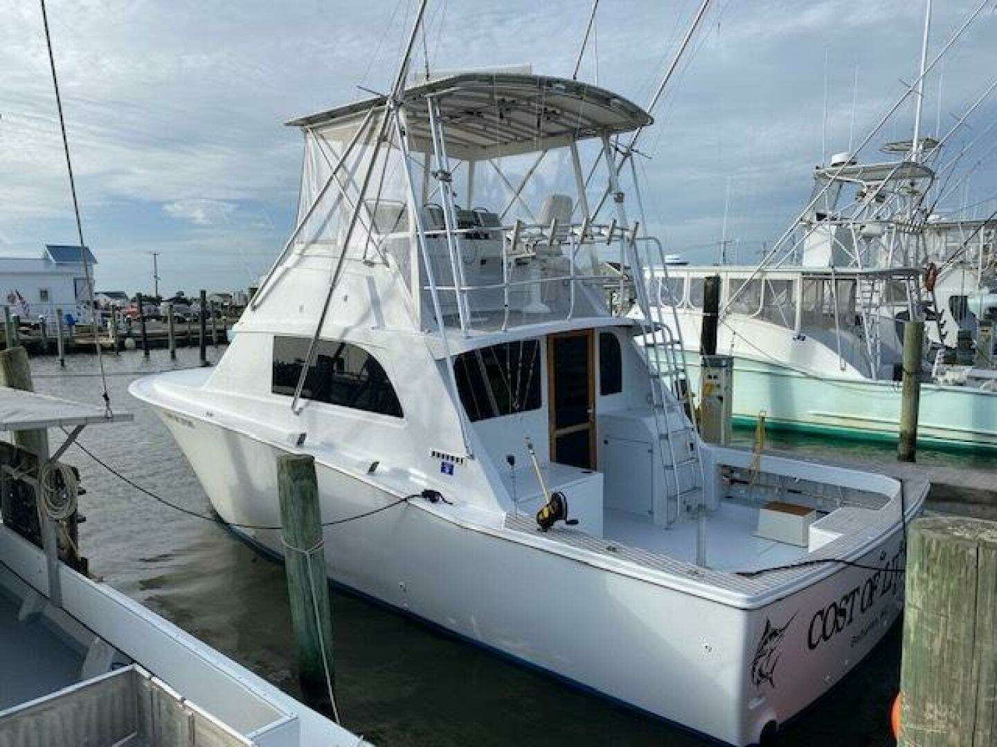1985 Bertram Custom - Image 4