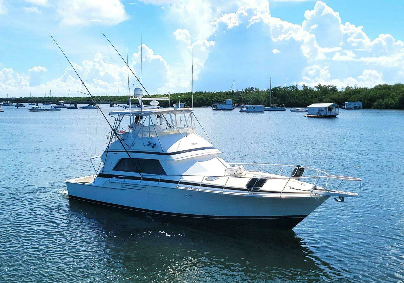 1989 Bertram 50 Convertible - Image 2