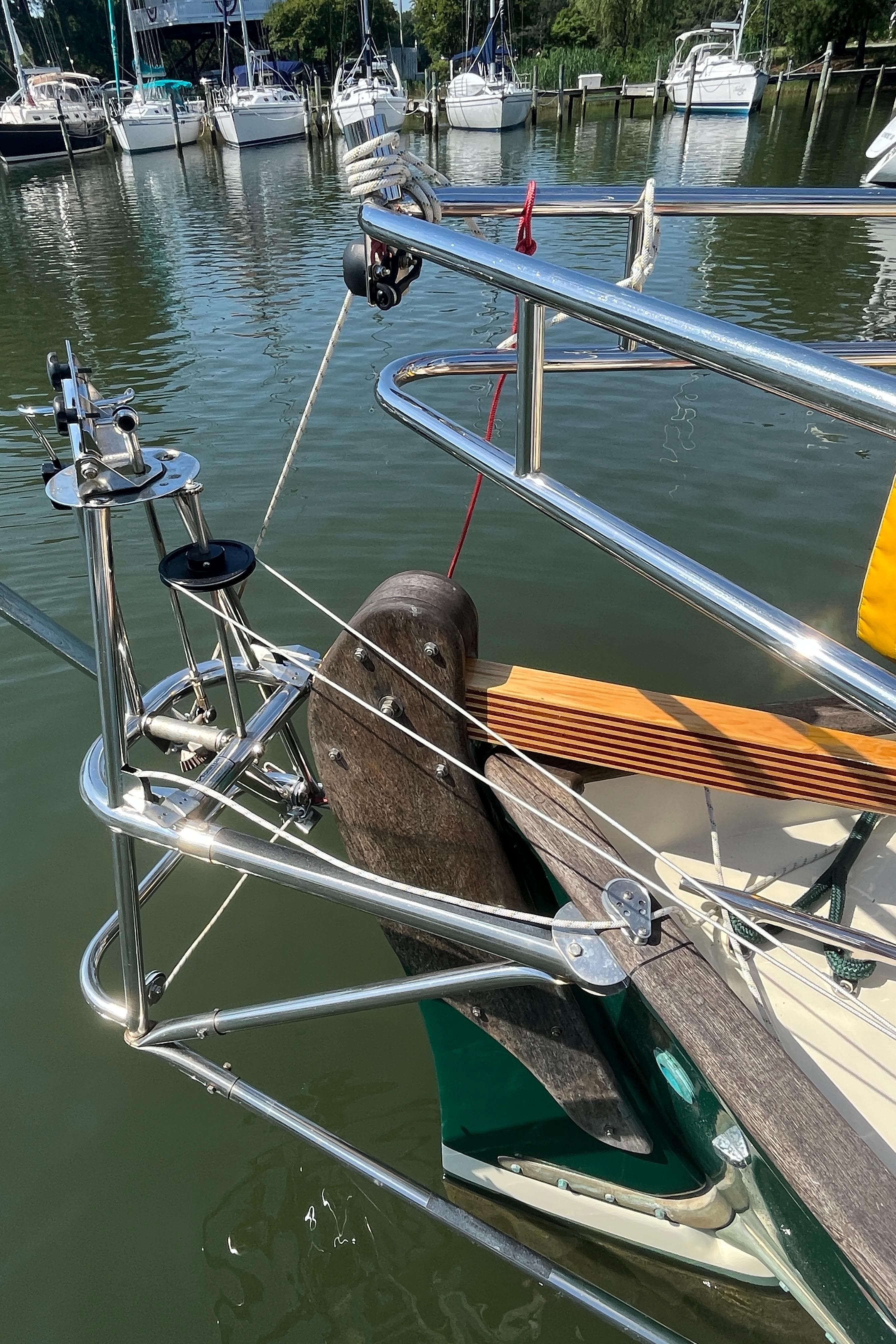 Seal resting on Alajuela 38 sailboat in marina, 2016.