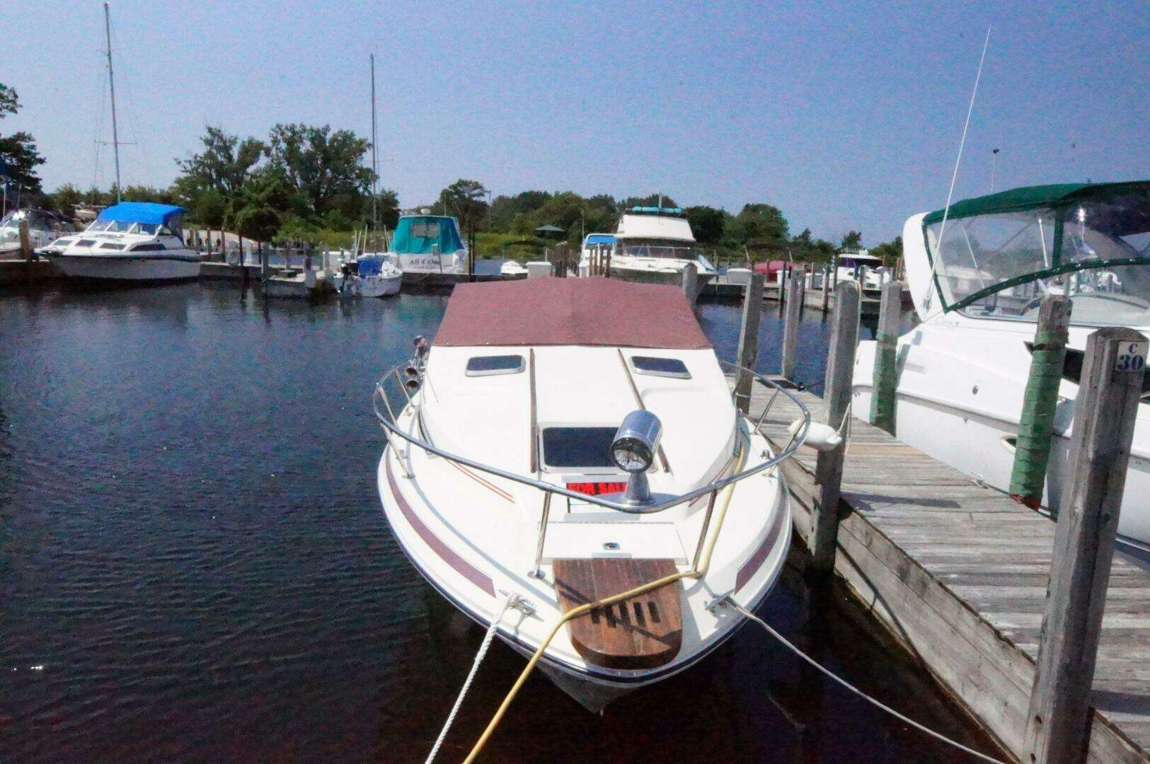1988 Sea Ray — - Image 2