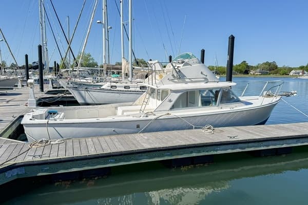 1972 Bertram Fly Bridge Cruiser - Image 1