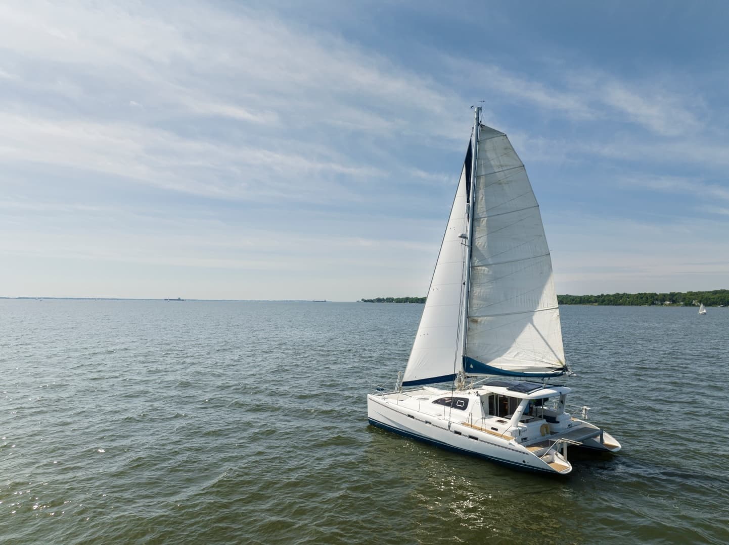 2006 Leopard 43 - Image 2