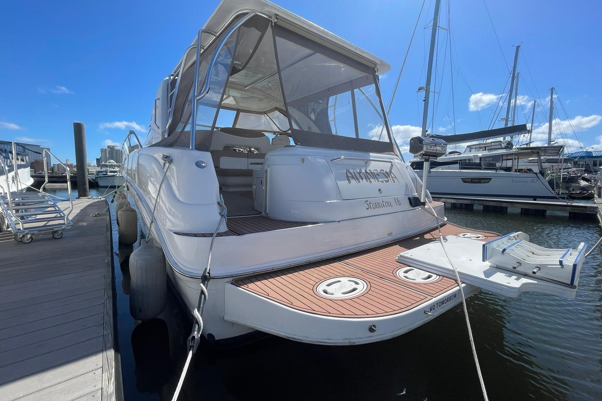 SWIM PLATFORM AND DINGHY DAVIT SYSTEM