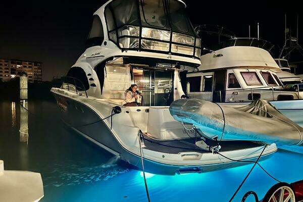 2005 Sea Ray 500 Sedan Bridge - Image 1