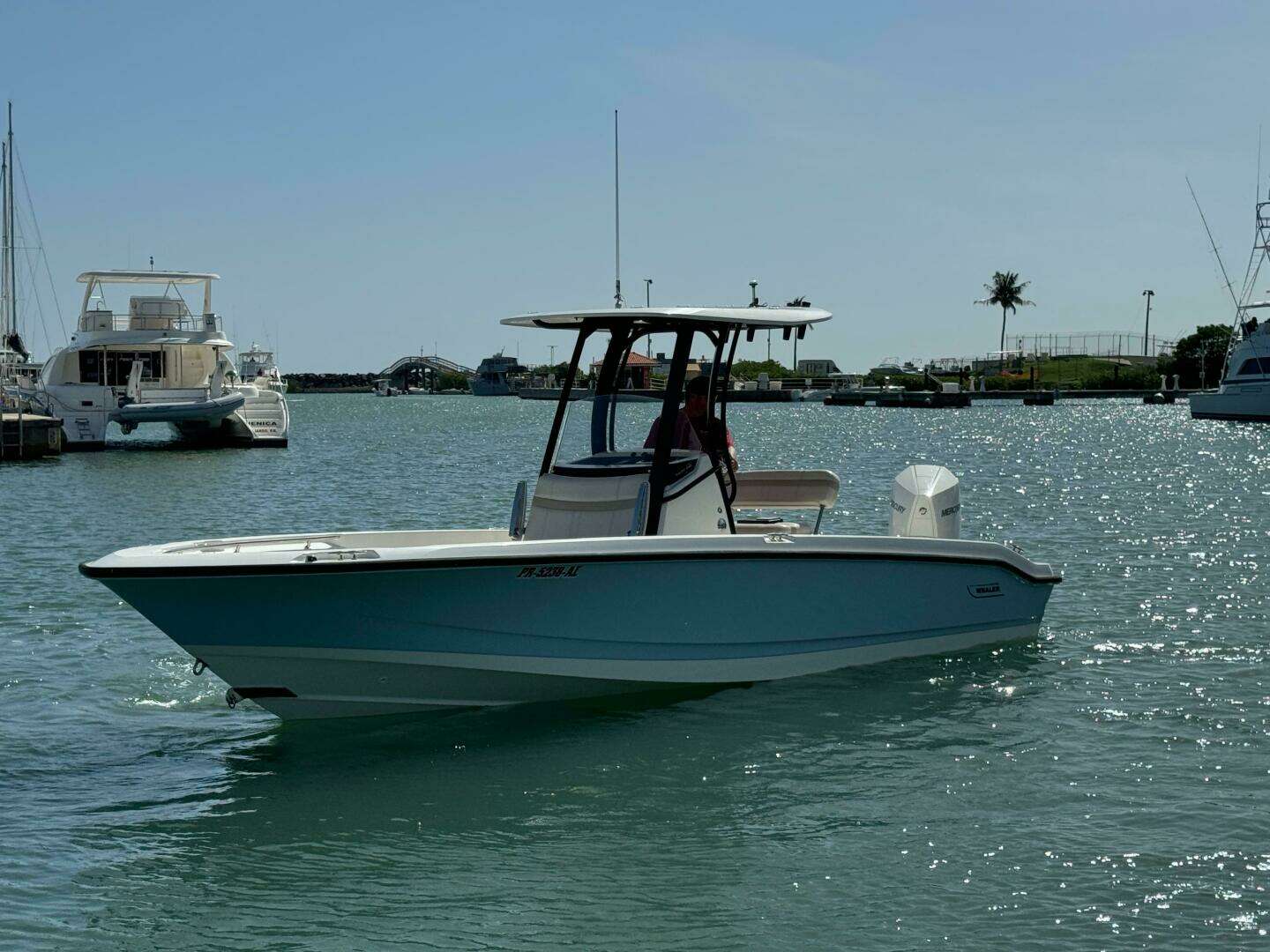 2022 Boston Whaler 250 Dauntless - Image 10