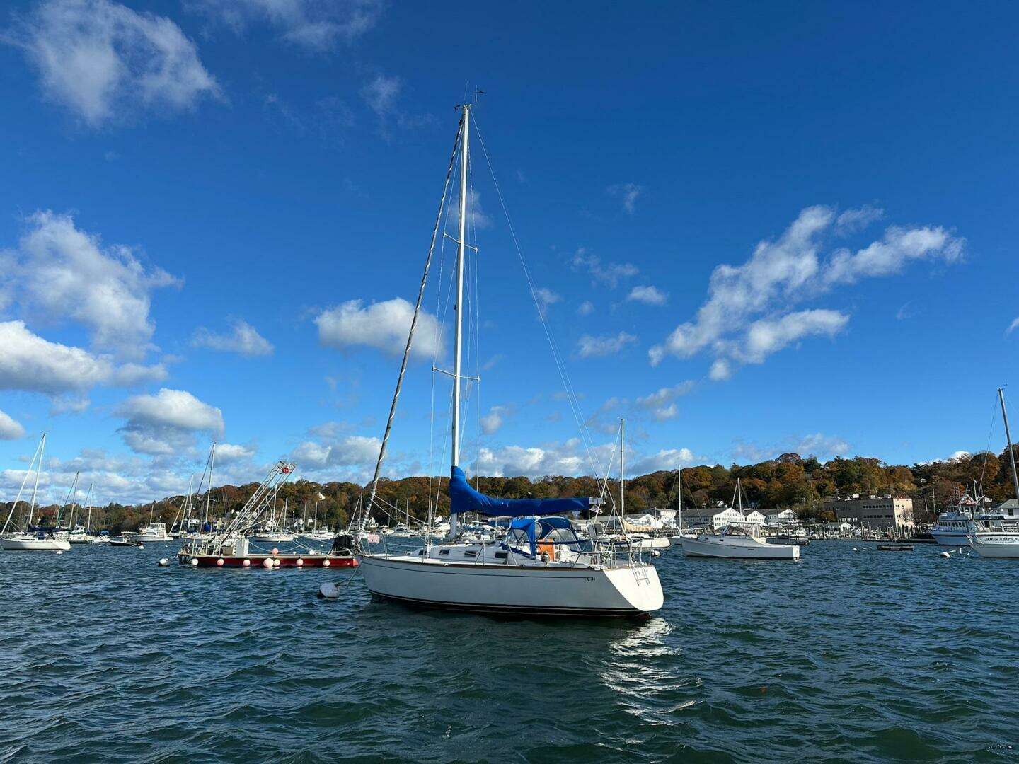 1988 Tartan 31 - Image 4