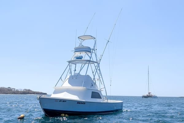 1973 Bertram Sportfisher - Image 1