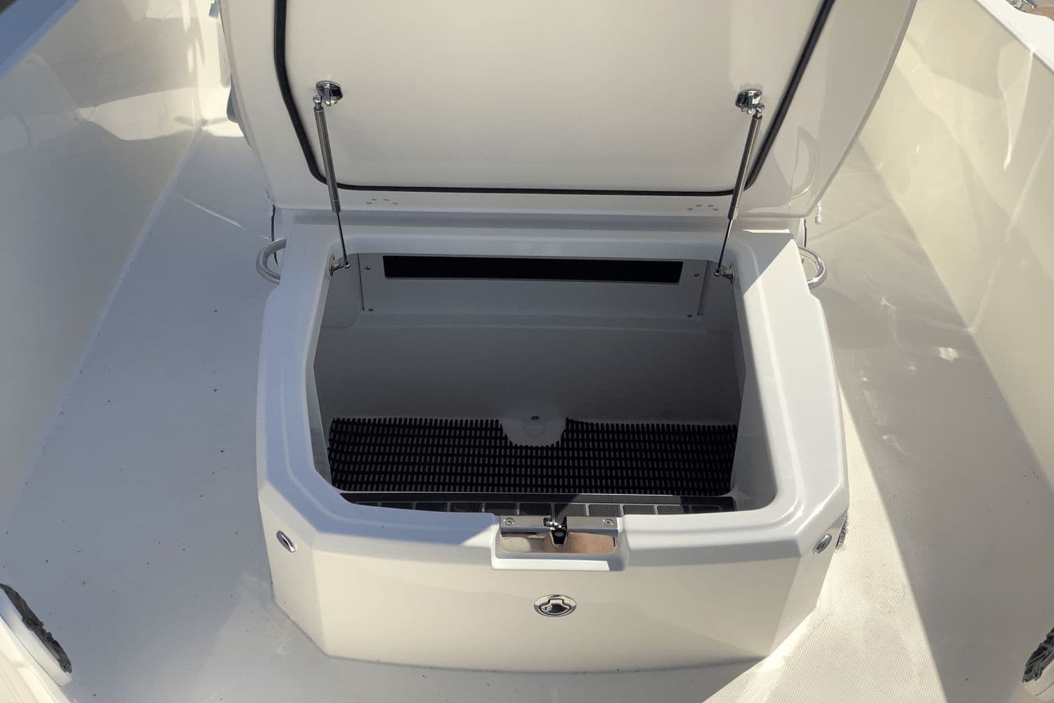 2026 Boston Whaler 250 Dauntless - 24