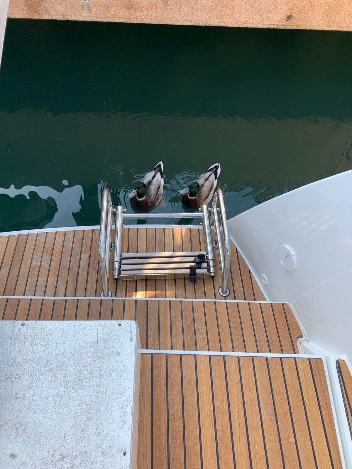 Lagoon 40