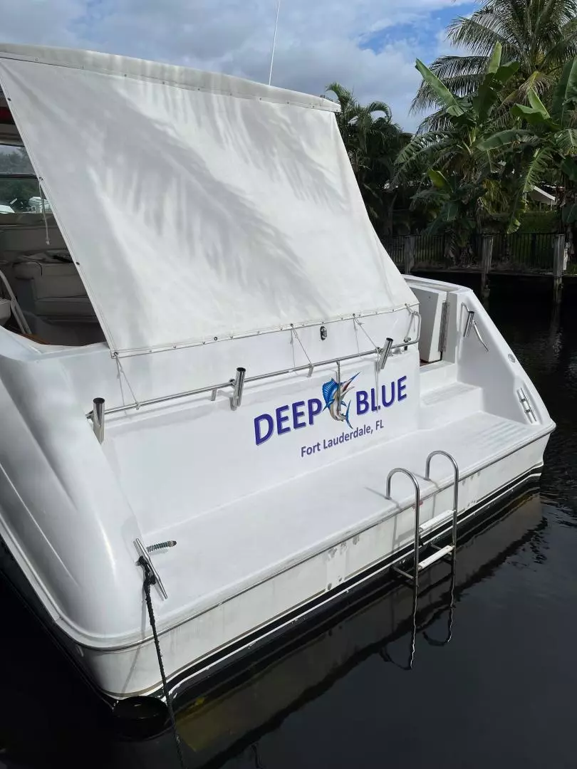 1991 Sea Ray 500 Sundancer - Image 3