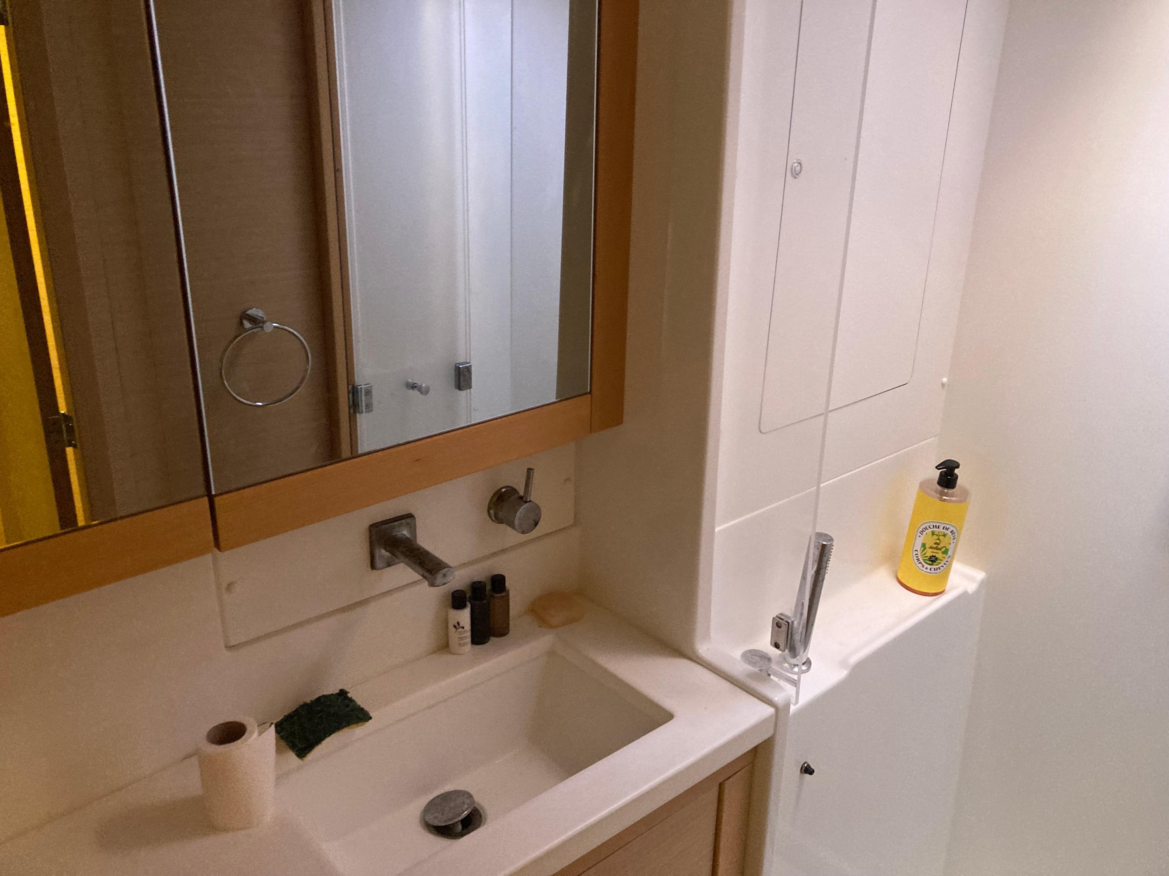 Bathroom interior of 2014 Lagoon 450 yacht with sink, mirror, and toiletries.