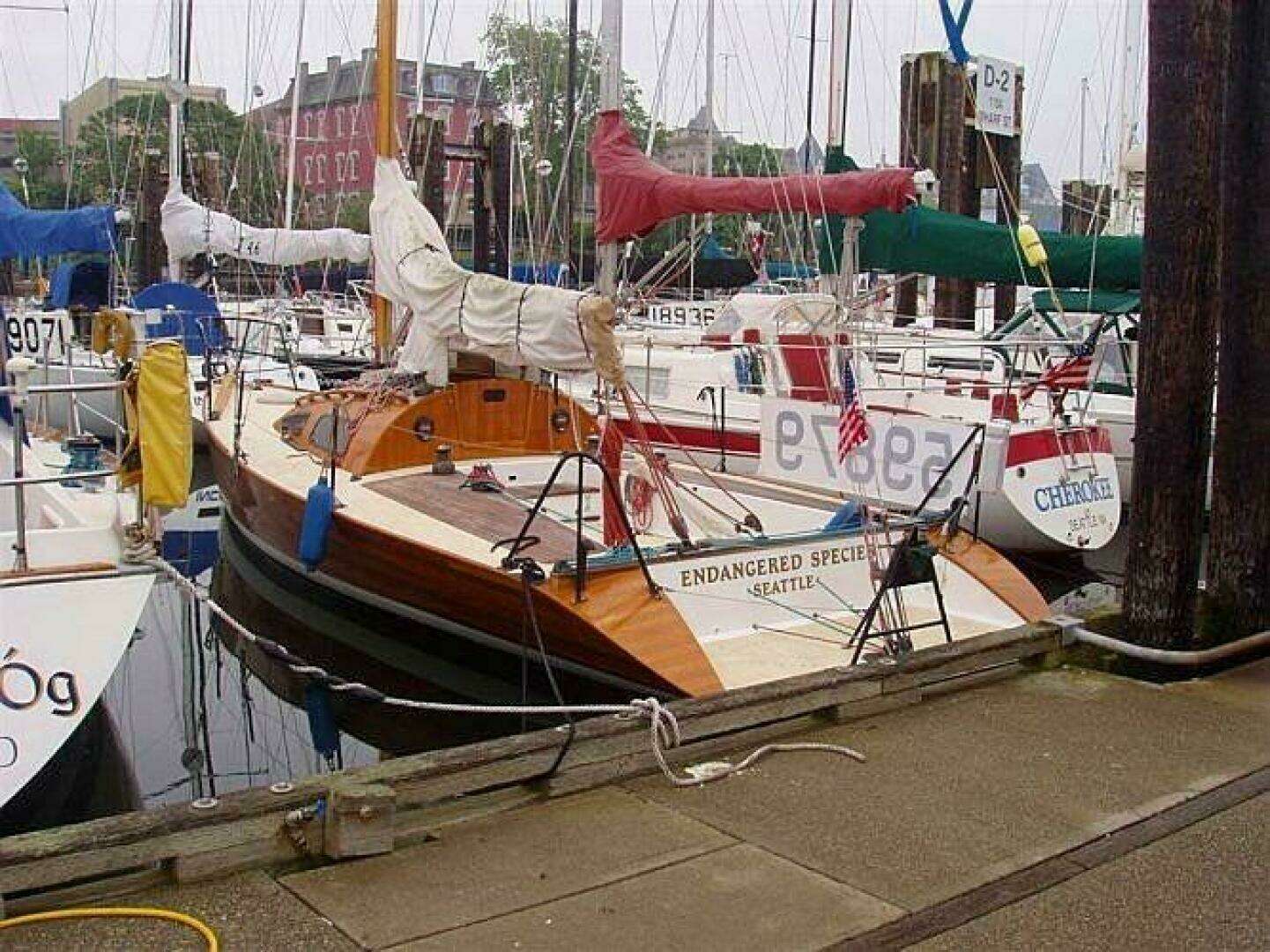 1997 Custom 30 Performance Sloop - Image 5