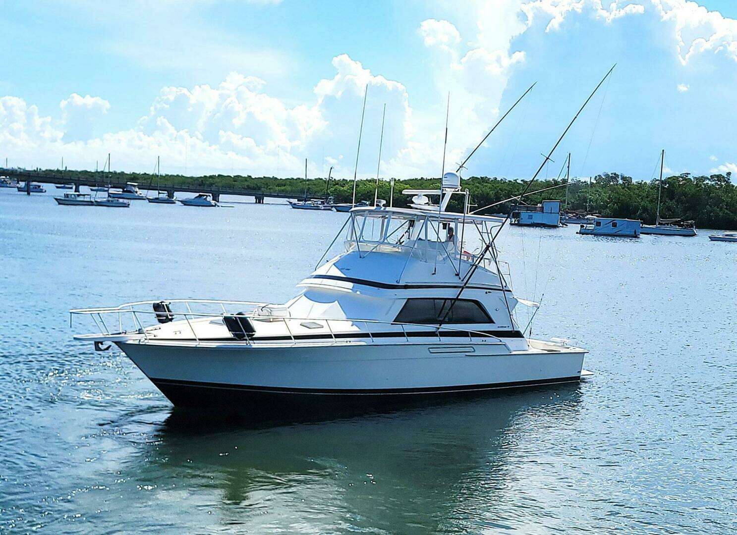 1989 Bertram 50 Convertible - Image 72