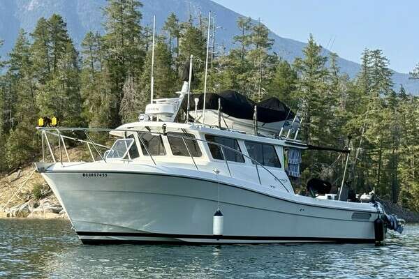 2013 Ocean Sport Roamer - Image 1