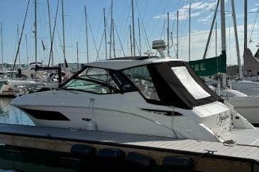 2019 Sea Ray Sundancer 320 yacht docked at marina with sailboats in background.
