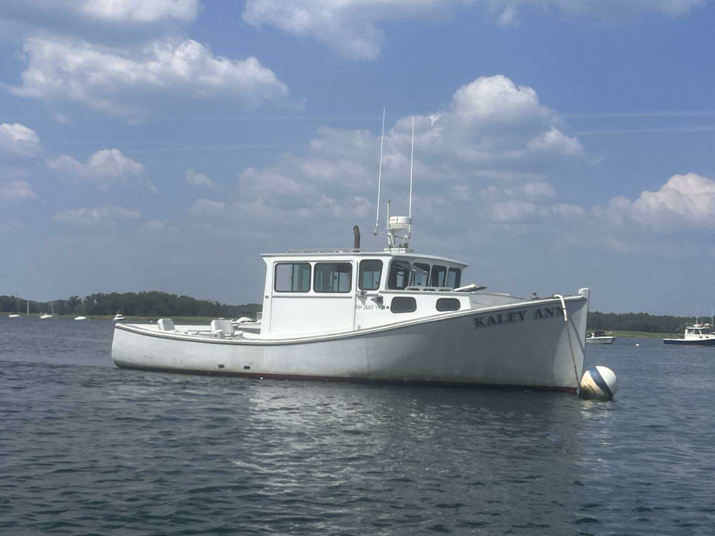 1982 Stanley Greenwood Novi - Image 2