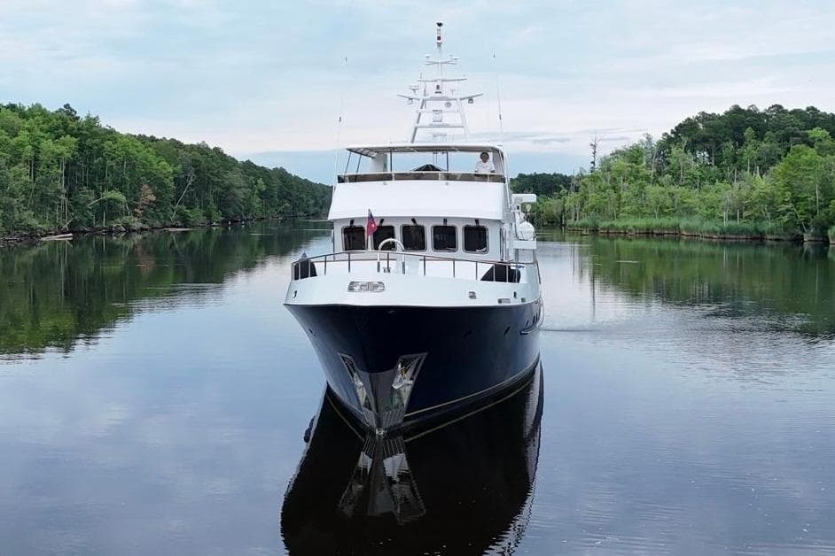 Luxury yacht Doogersbank Vipack 2001 cruising on a serene river surrounded by lush greenery.