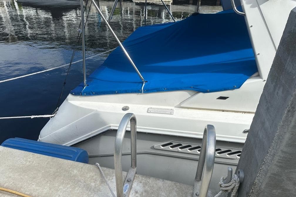 1994 Sea Ray 370 Express Cruiser docked with blue cover, ladder visible.