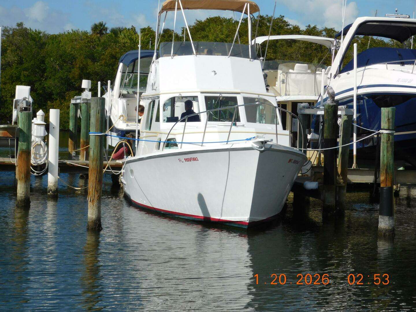 1982 Whiticar Flybridge Convertible - Image 66