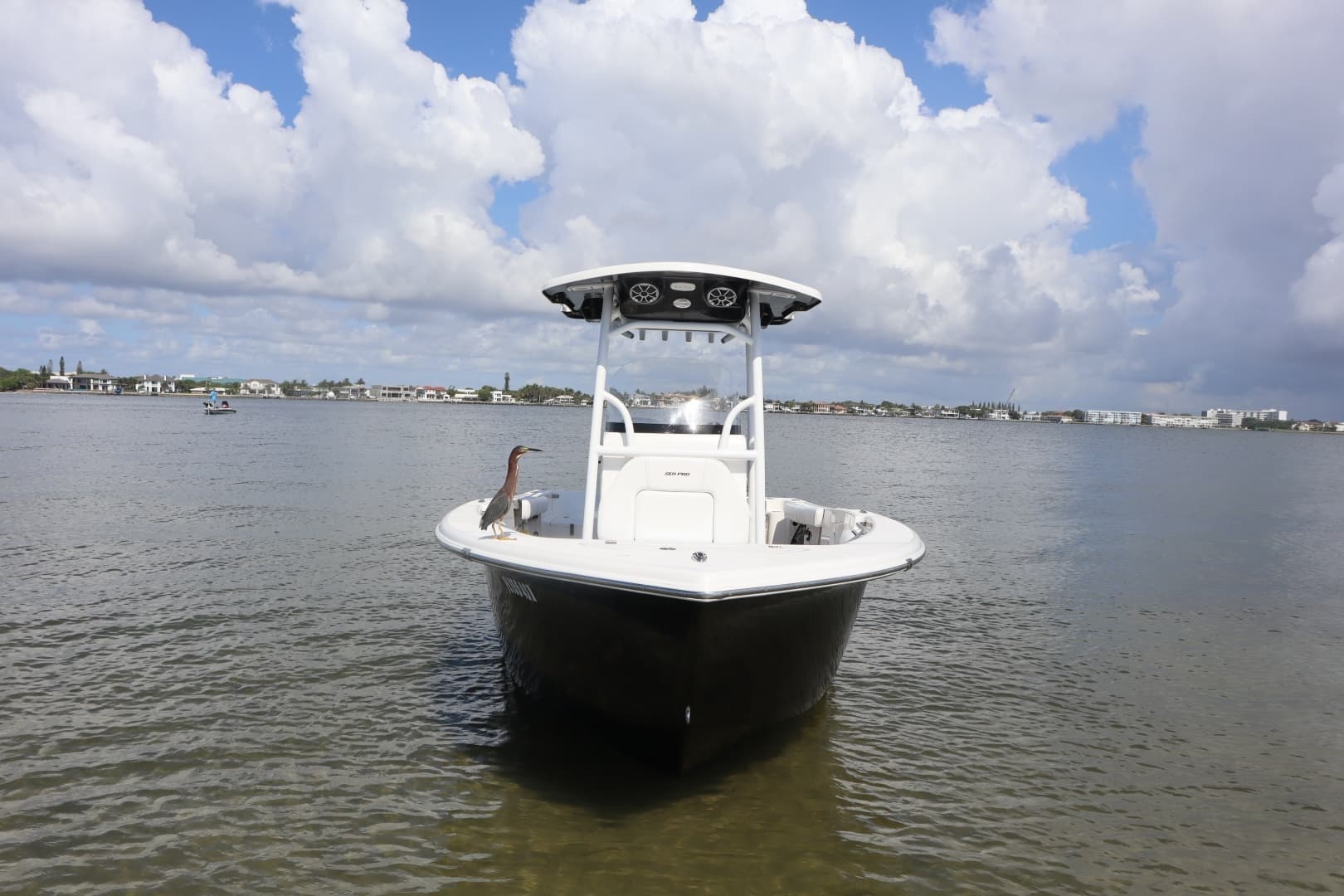 2021 Sea Pro 219 - Image 3