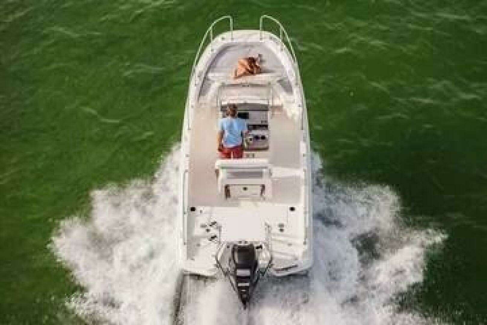 2017 Boston Whaler 21 Dauntless - Image 11