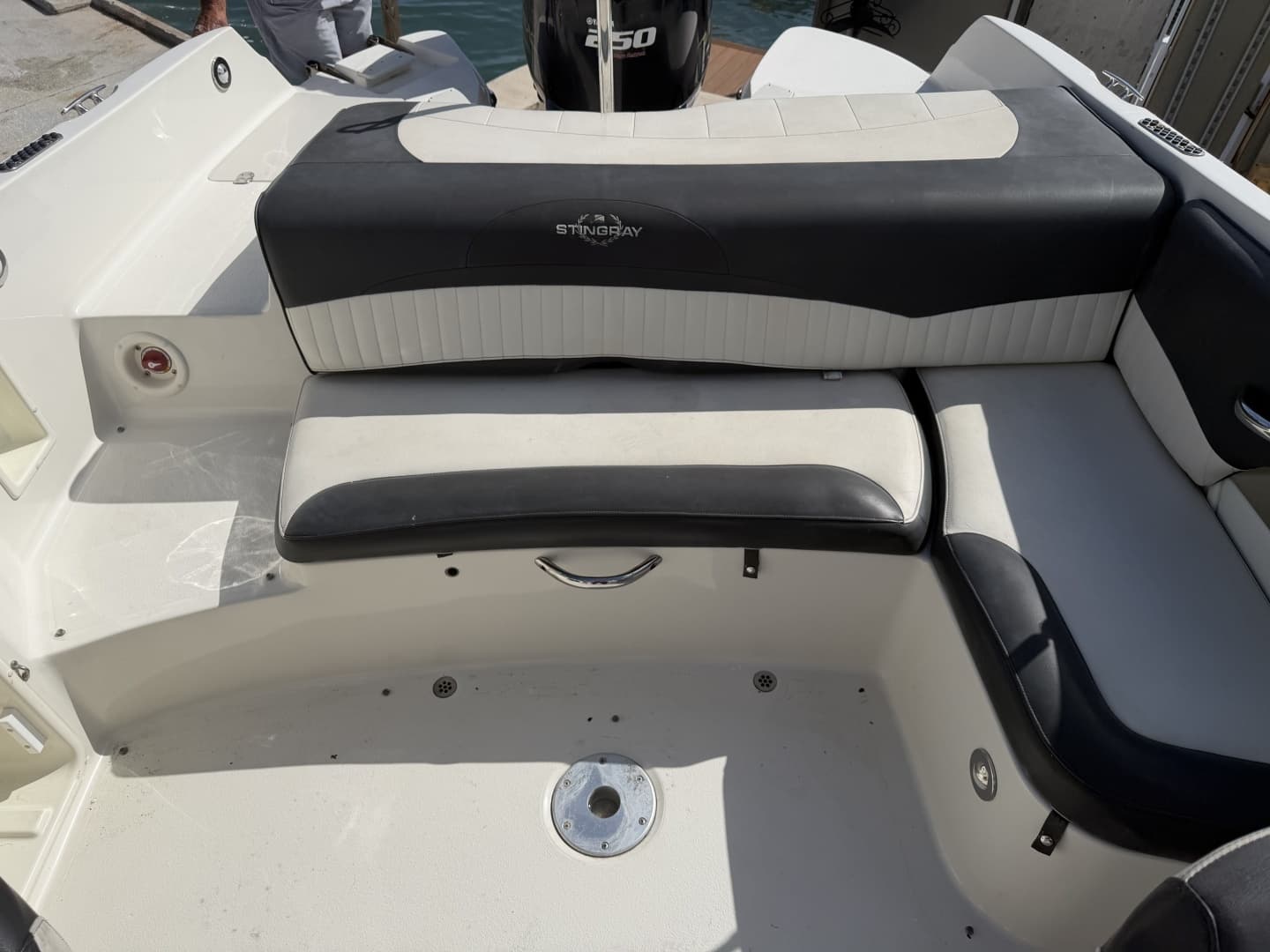 2016 Stingray 234 LR - Image 10