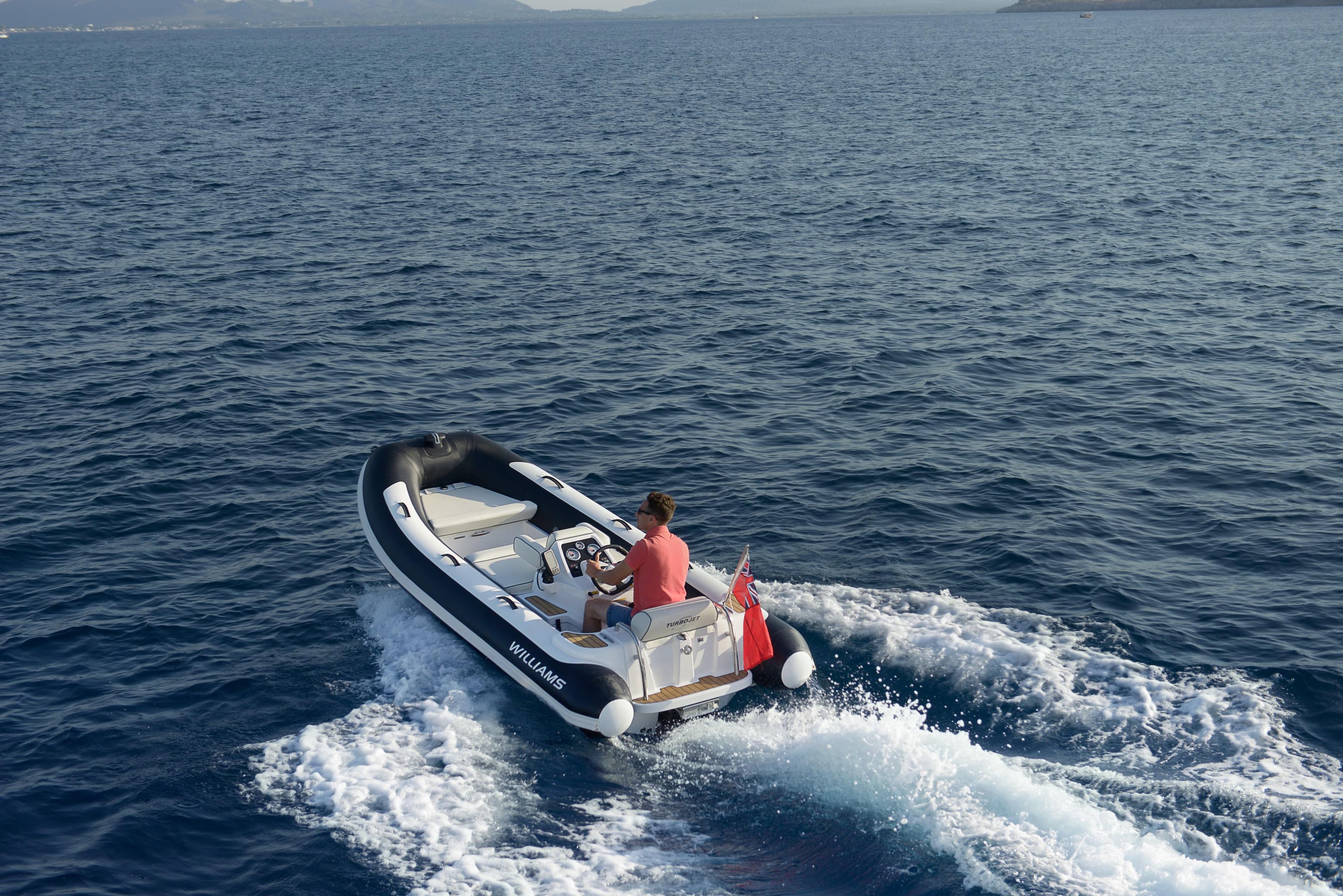 Manufacturer Provided Image: Williams Jet Tenders Turbojet 385