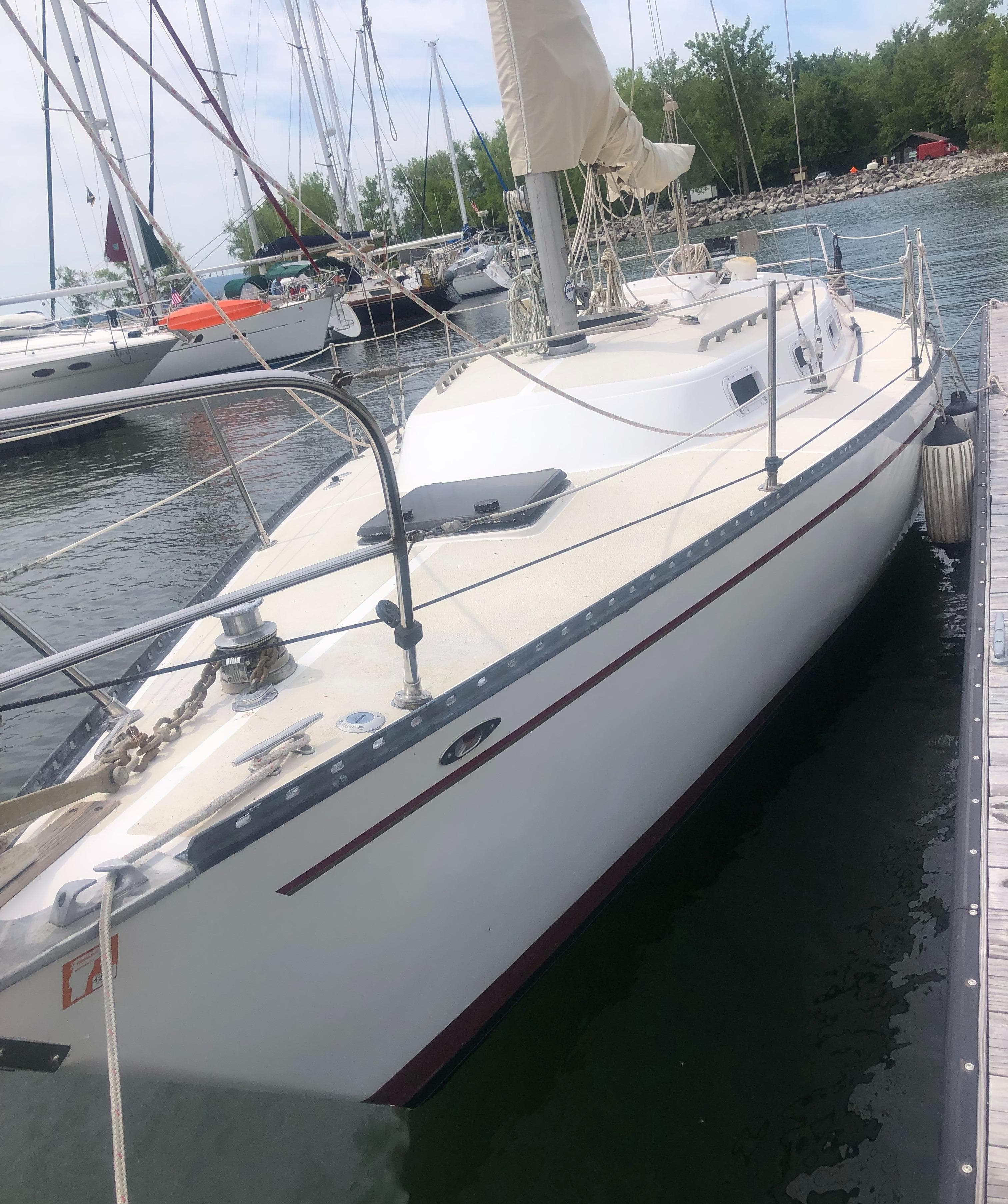 1980 Tartan 33 sailboat docked in a marina, surrounded by water and other boats.