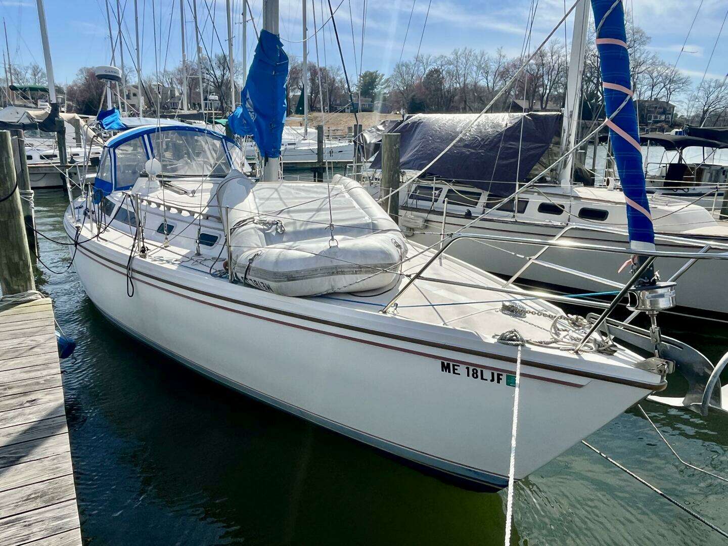 1986 Catalina 36 - Image 6