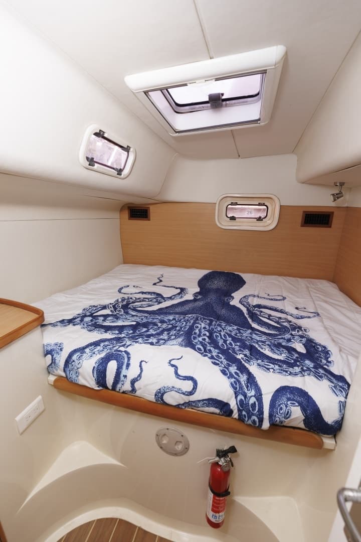 2006 Leopard 43 - Image 26