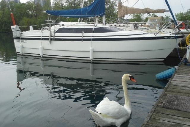 1998 MacGregor 26X Powersailer docked with swan in foreground.