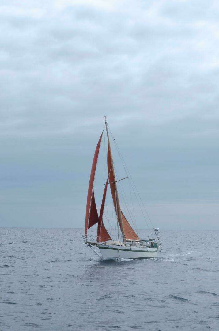 1982 Custom Tahiti Rover Steel Auxiliary Cutter - Image 28