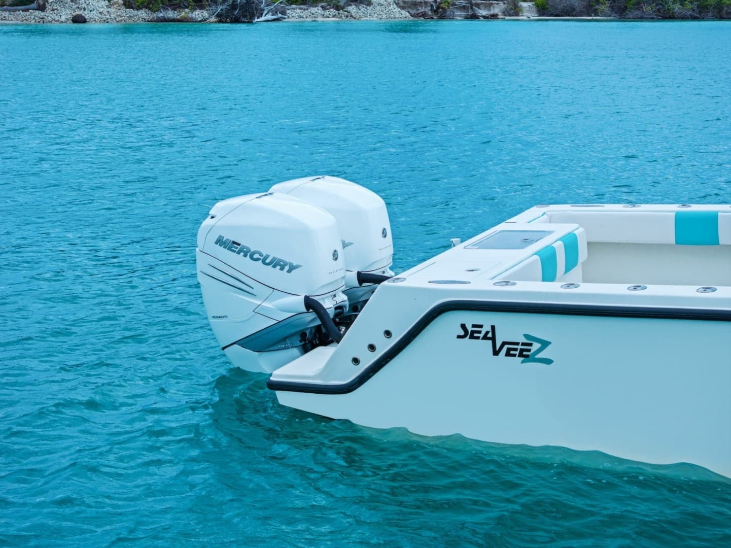 2015 SeaVee — - Image 28