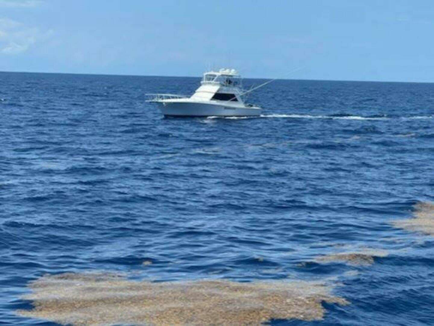 1989 Viking 45 Convertible - Image 35