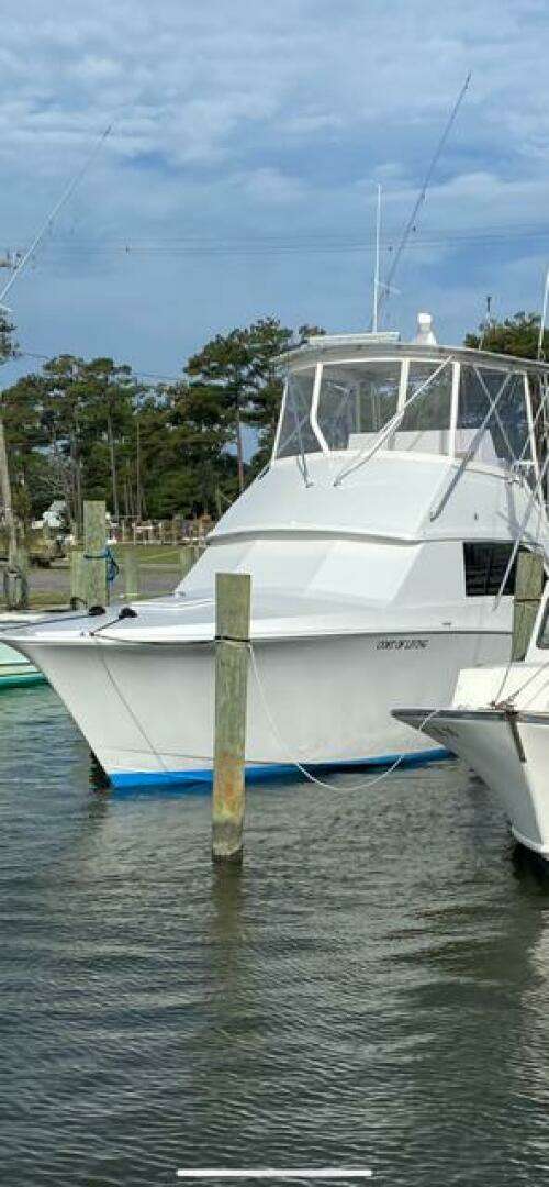 1985 Bertram Custom - Image 23