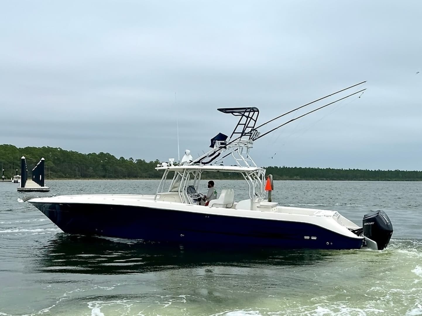 2009 Hydra-Sports Vector 4100CC - Image 8