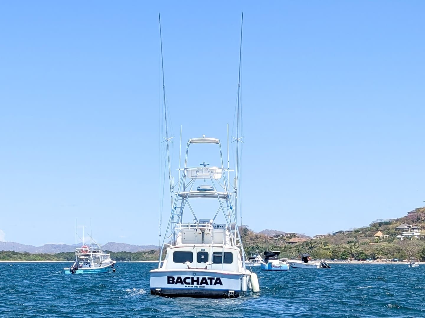 1973 Bertram Sportfisher - Image 5