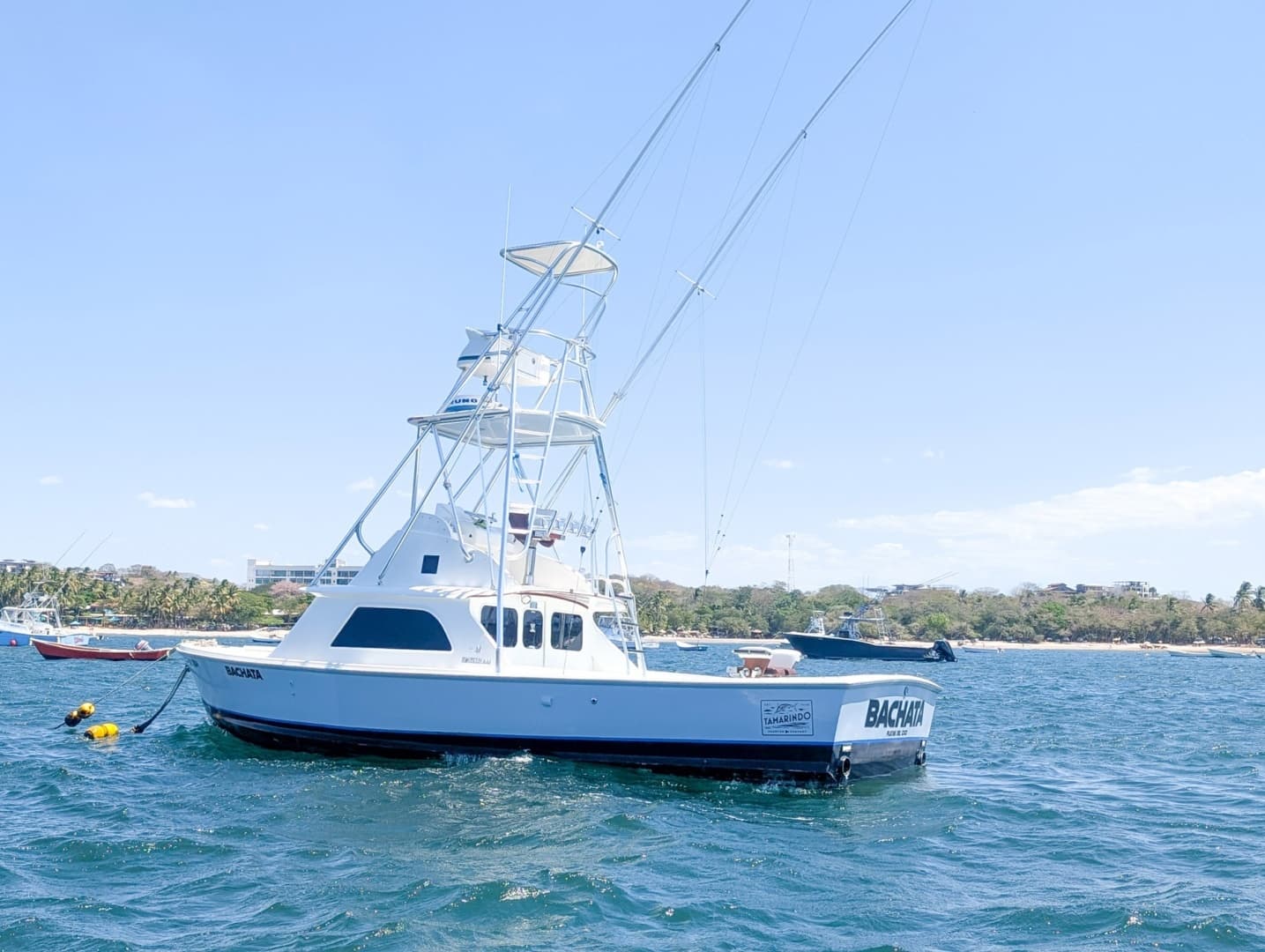 1973 Bertram Sportfisher - Image 3