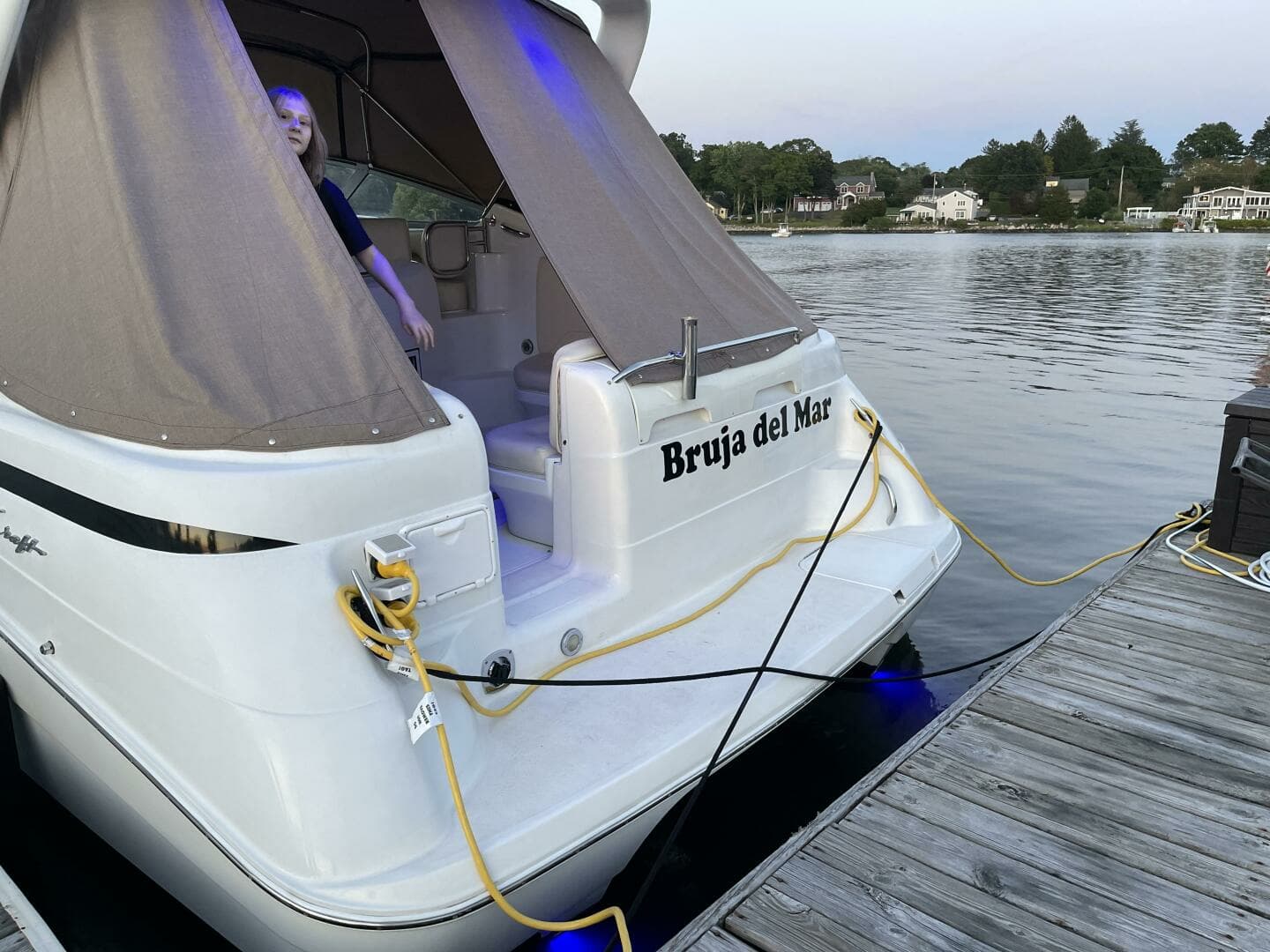 1998 Chris-Craft 320 Express Cruiser - Image 6