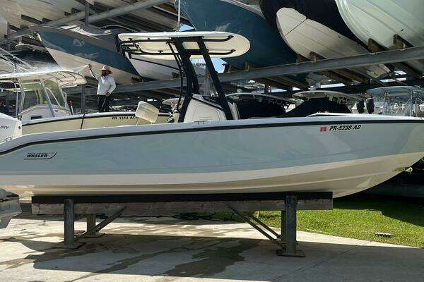 2022 Boston Whaler 250 Dauntless - Image 1