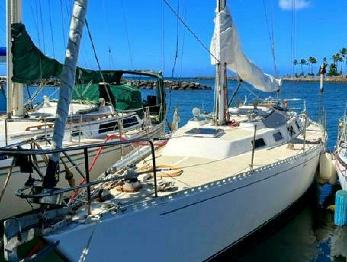 1986 J Boats Masthead Sloop - Image 4