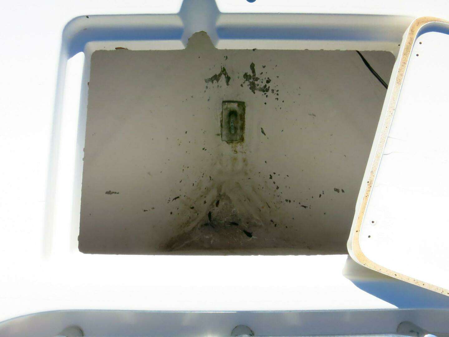2020 Cobia 237 CC - Image 13