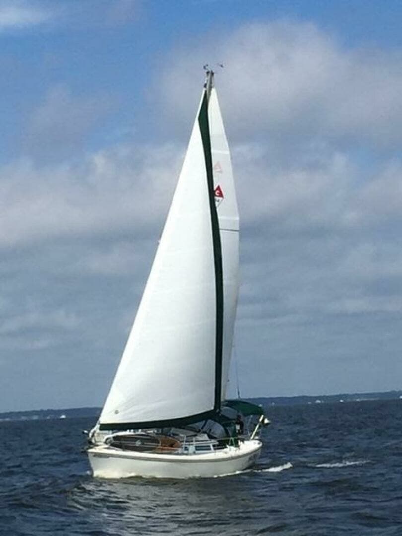 1988 Catalina 34 - Image 2