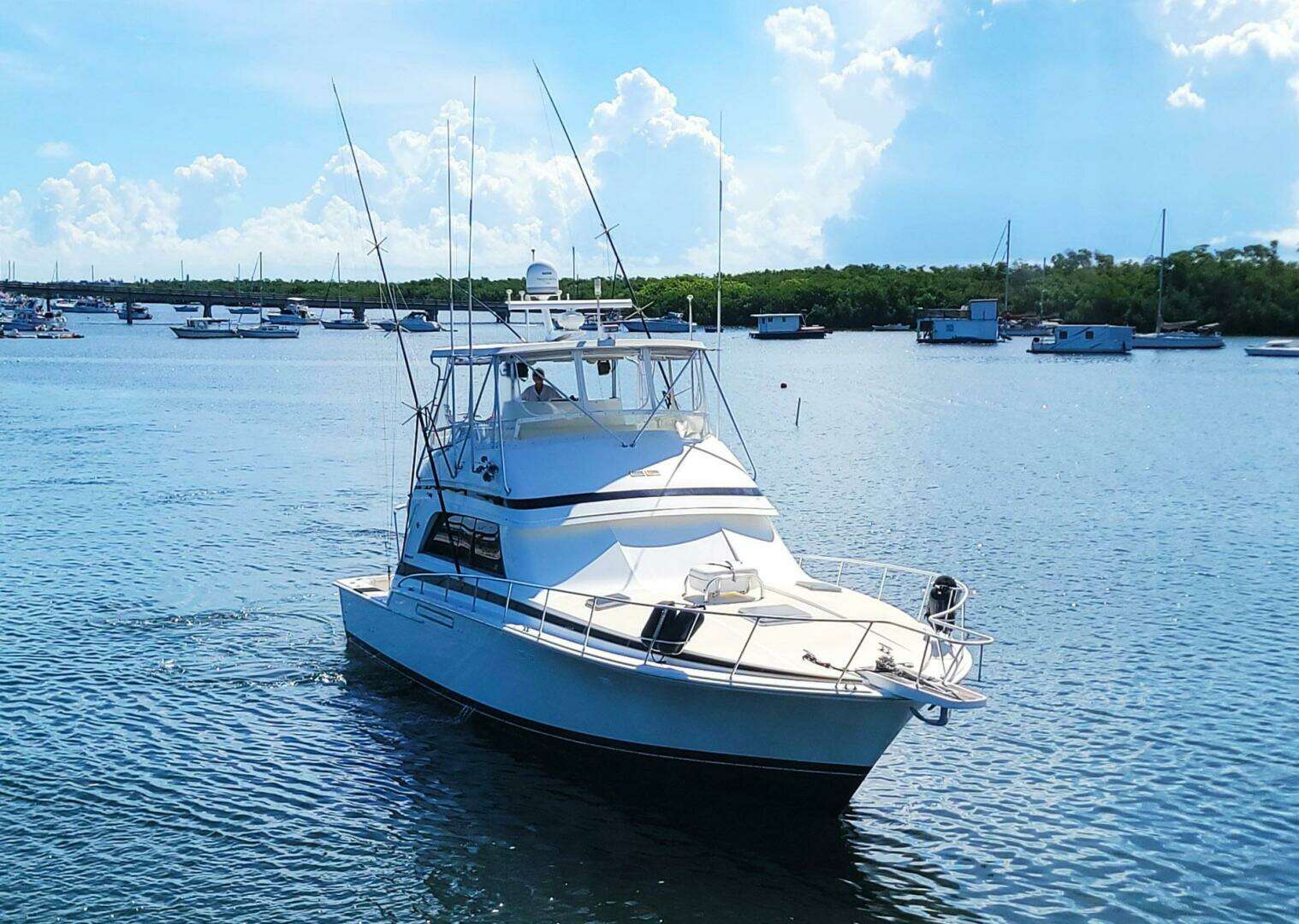 1989 Bertram 50 Convertible - Image 69