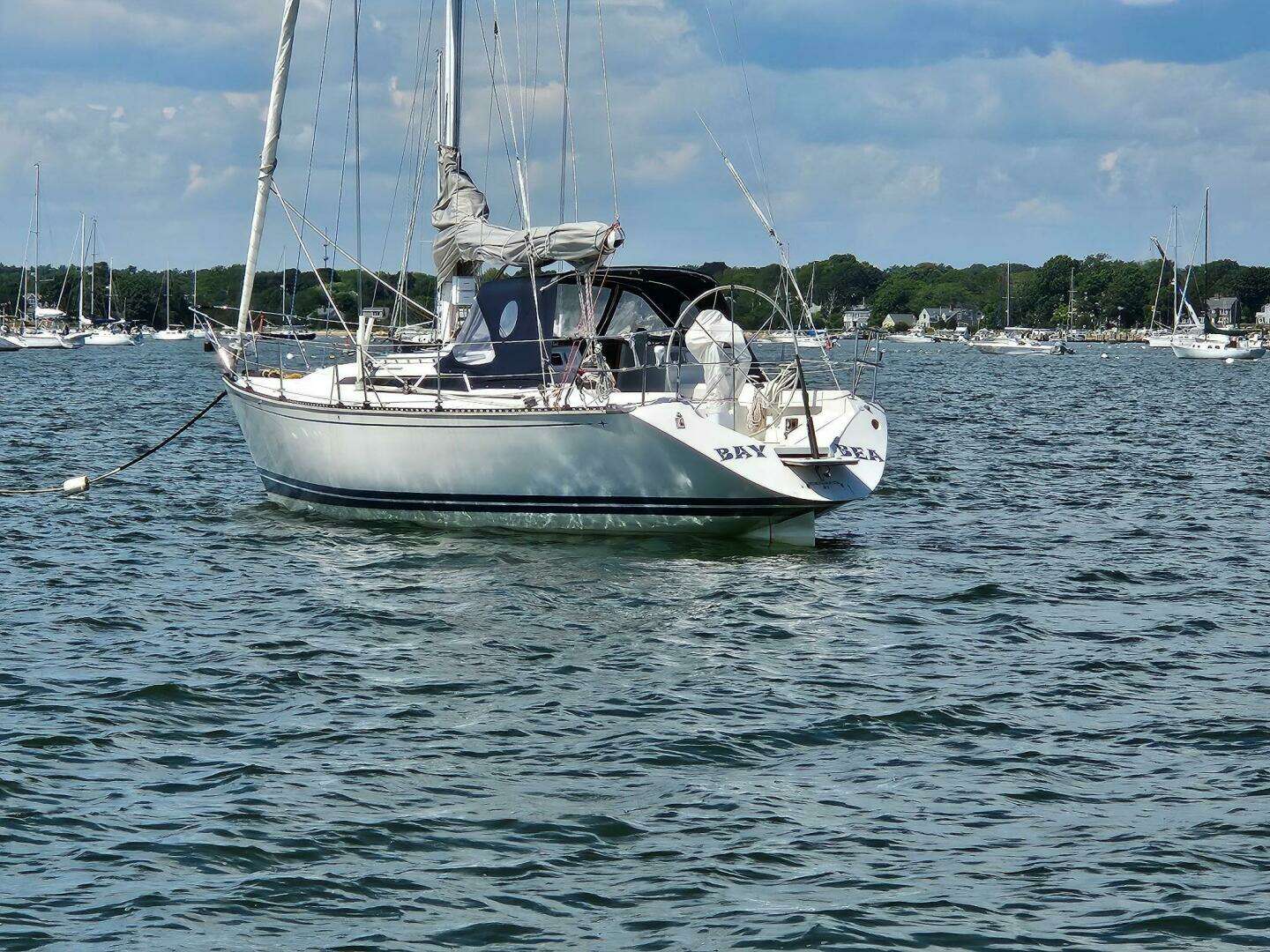 1989 C&C R - Image 6