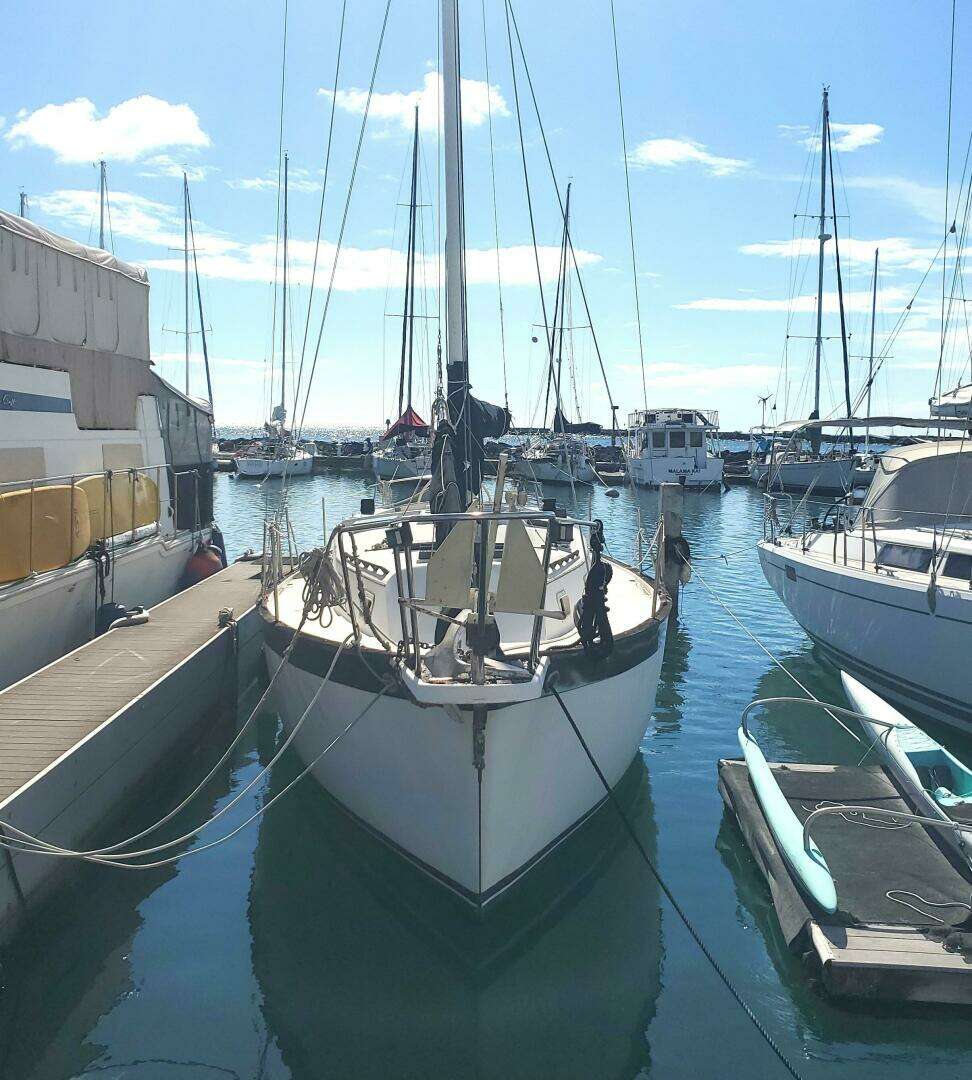 1978 Irwin Cutter - Image 2