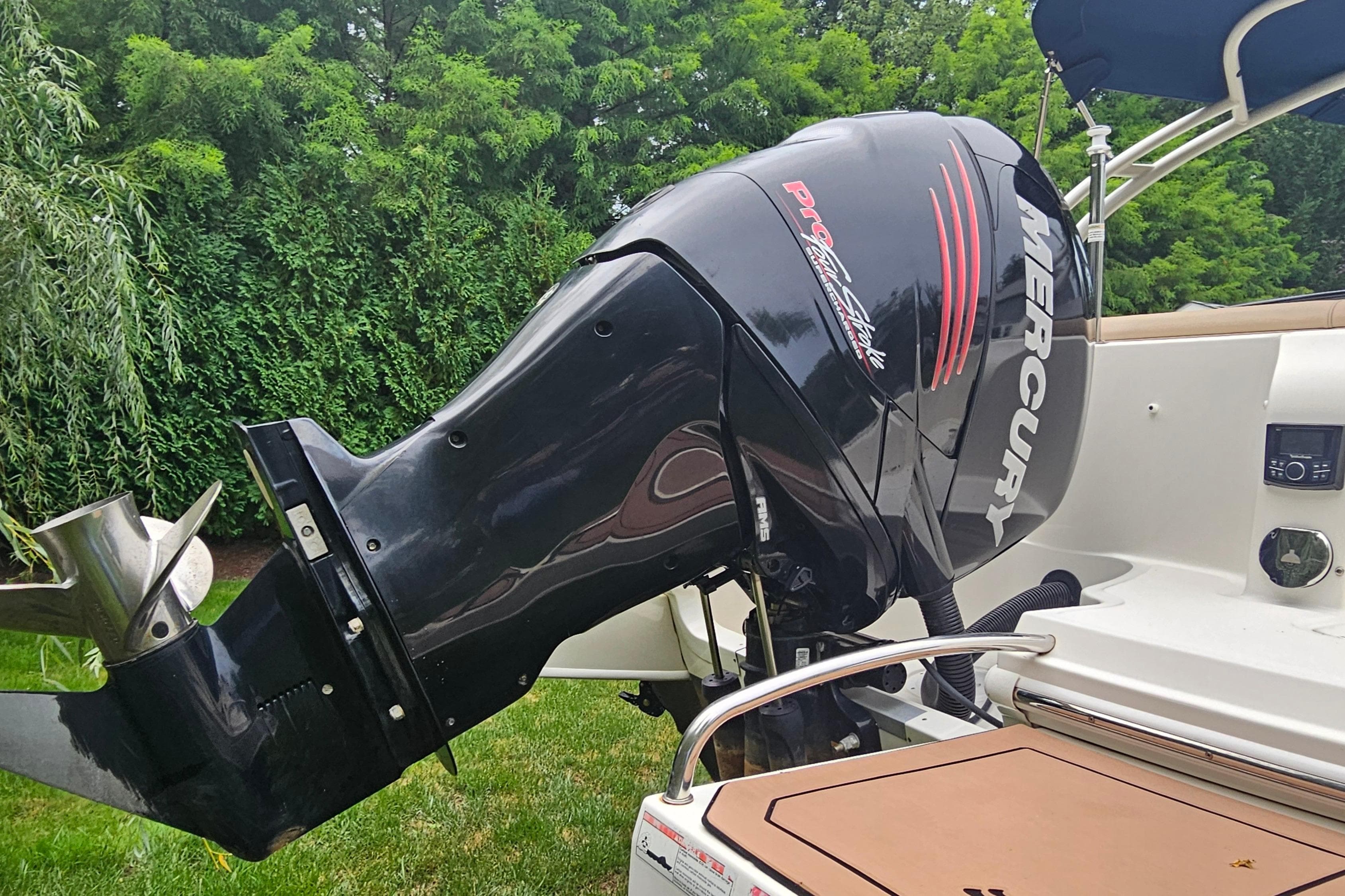2017 Sea Ray SDX 240 Outboard with Mercury engine, set against lush greenery.