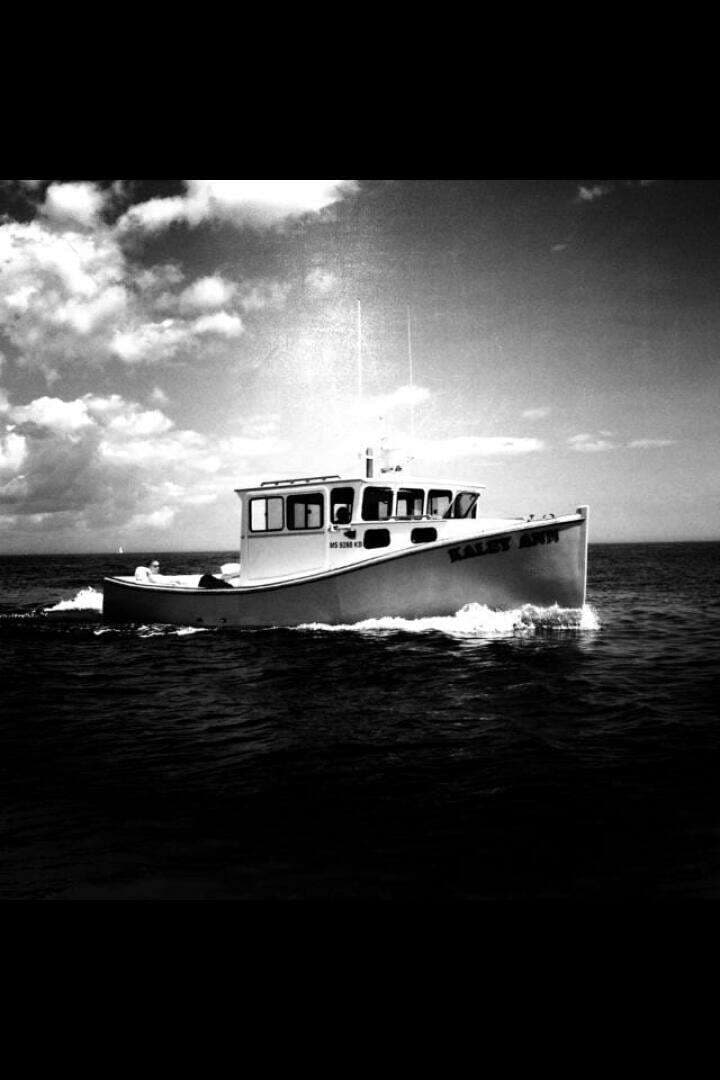 1982 Stanley Greenwood Novi - Image 60